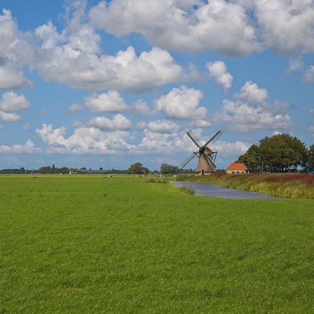 Natuur