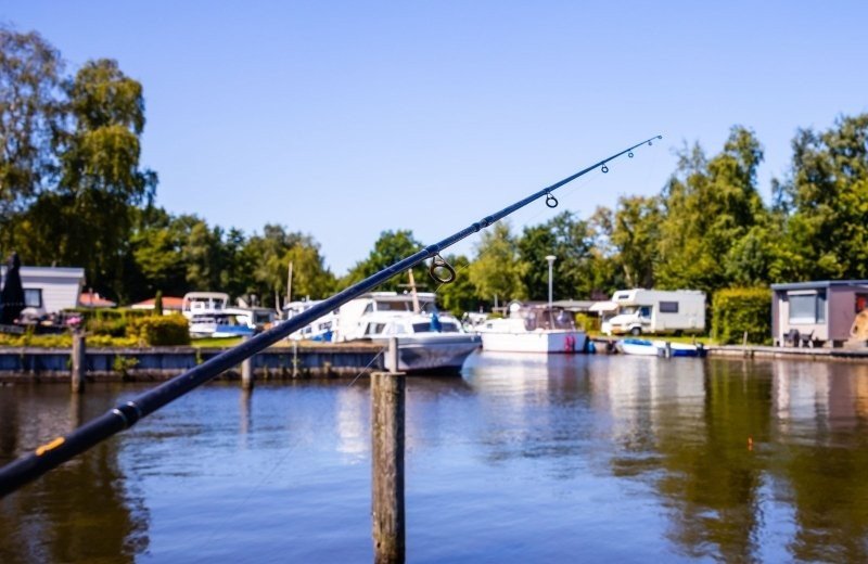Vissen friesland bergumermeer