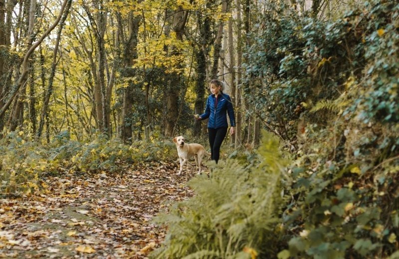 Elfstedenpad: Etappe 15